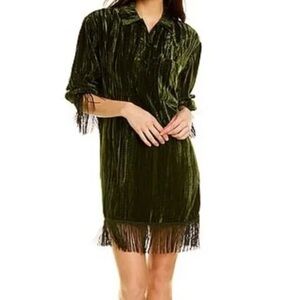 SALE! Something Navy brand Green Velvet dress with tassels. Size Small